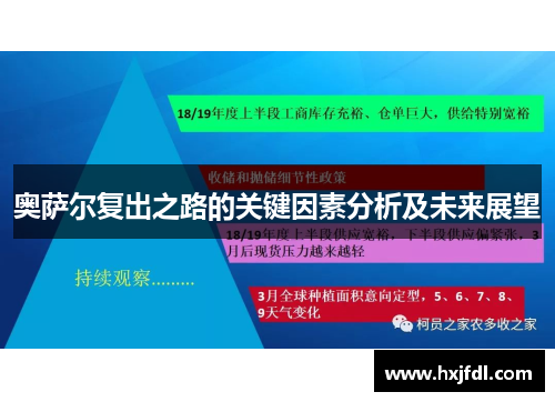 奥萨尔复出之路的关键因素分析及未来展望