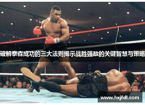 破解泰森成功的三大法则揭示战胜强敌的关键智慧与策略