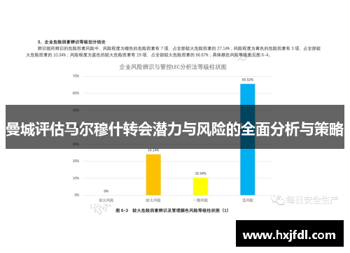 曼城评估马尔穆什转会潜力与风险的全面分析与策略